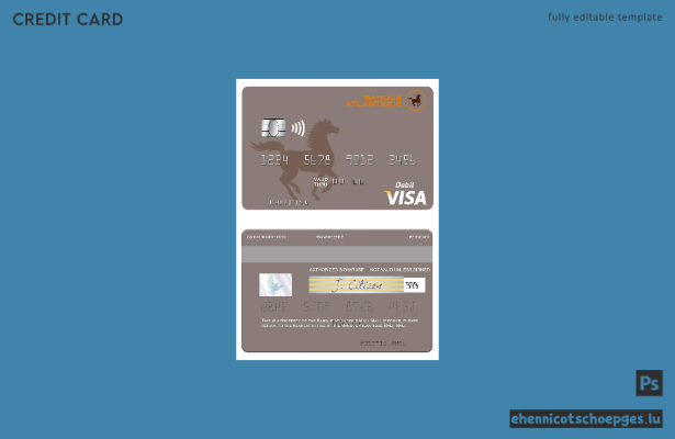 Beispielvorschau der Mali Atlantic Bank Mali Visa Debitkarte